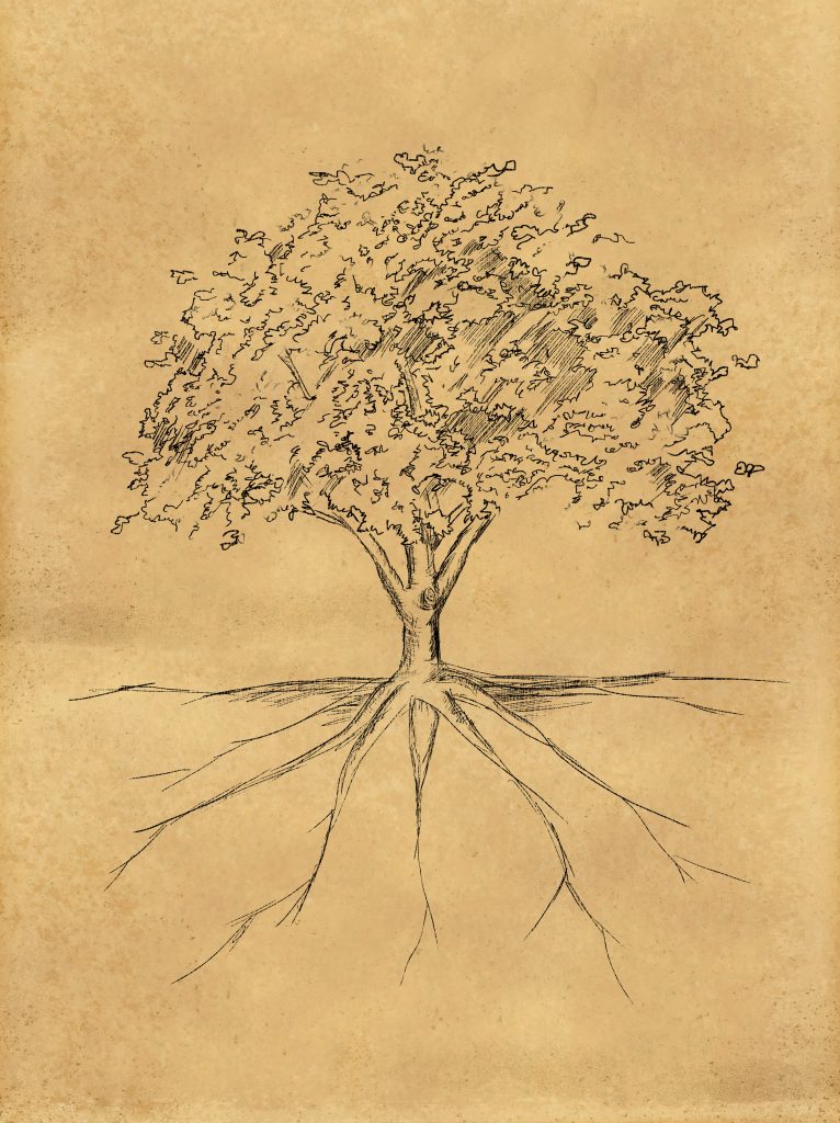 Storie di famiglia: un viaggio tra memoria e identità