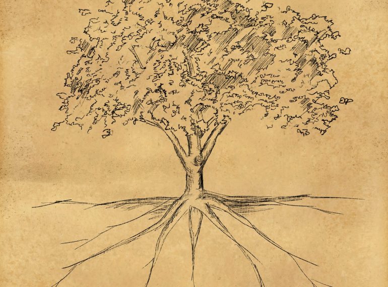 Tree Sketch leaves and root on paper